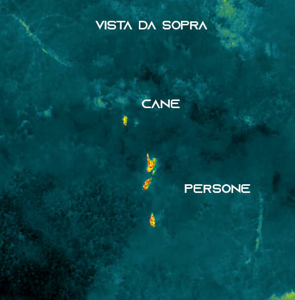 Vista termica della canina smarrita sulla parete scoscesa 