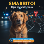 Video lezioni del protocollo di intervento rapido per cani smarriti