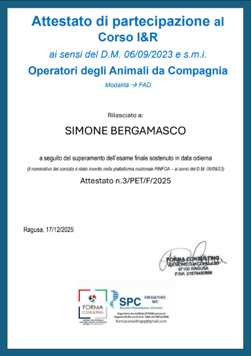 Anteprima Attestato PINFOA