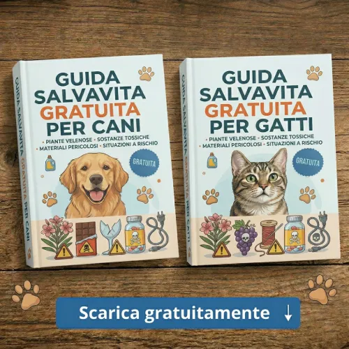 Mockup Guide Salvavita