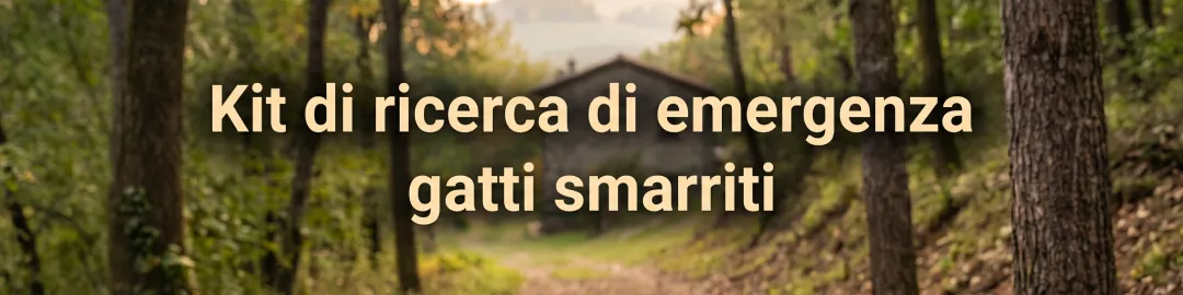 Banner iniziale Kit di Ricerca d'Emergenza